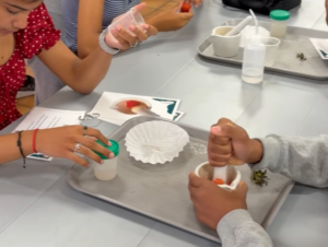 Summer Camp Week 2 (2)